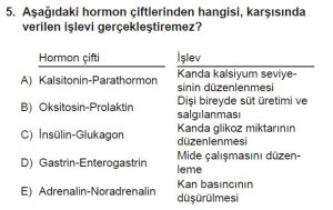 11. Sınıf Biyoloji Test 12 Soru-5