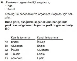 11. Sınıf Biyoloji Test 12 Soru-6