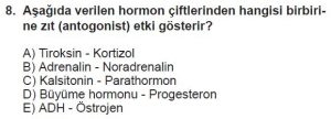 11. Sınıf Biyoloji Test 12 Soru-8