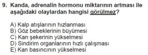 11. Sınıf Biyoloji Test 12 Soru-9