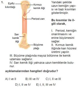 11. Sınıf Biyoloji Test 13 Soru-1