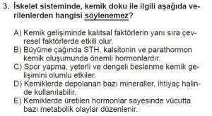 11. Sınıf Biyoloji Test 13 Soru-3