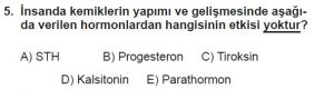 11. Sınıf Biyoloji Test 13 Soru-5