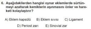 11. Sınıf Biyoloji Test 13 Soru-6