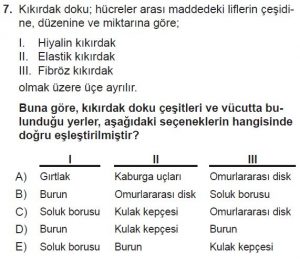 11. Sınıf Biyoloji Test 13 Soru-7