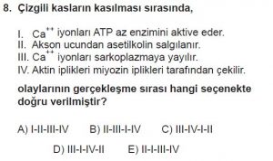 11. Sınıf Biyoloji Test 13 Soru-8