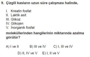 11. Sınıf Biyoloji Test 13 Soru-9