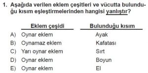 11. Sınıf Biyoloji Test 14 Soru-1