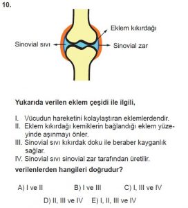 11. Sınıf Biyoloji Test 14 Soru-10