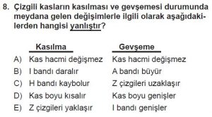 11. Sınıf Biyoloji Test 14 Soru-8