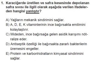 11. Sınıf Biyoloji Test 15 Soru-1
