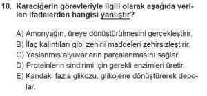 11. Sınıf Biyoloji Test 15 Soru-10