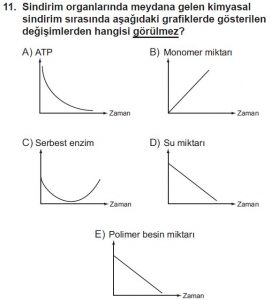 11. Sınıf Biyoloji Test 15 Soru-11