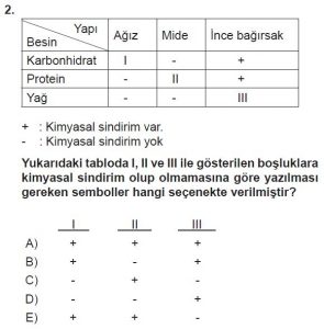 11. Sınıf Biyoloji Test 15 Soru-2