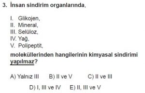 11. Sınıf Biyoloji Test 15 Soru-3