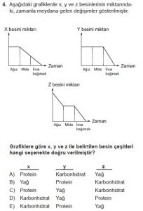 11. Sınıf Biyoloji Test 15 Soru-4