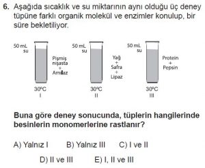 11. Sınıf Biyoloji Test 15 Soru-6