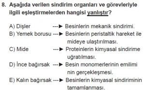 11. Sınıf Biyoloji Test 15 Soru-8