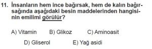 11. Sınıf Biyoloji Test 16 Soru-11