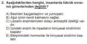 11. Sınıf Biyoloji Test 16 Soru-2