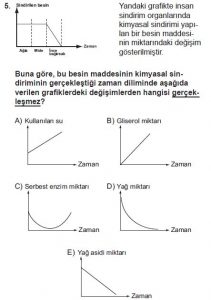11. Sınıf Biyoloji Test 16 Soru-5