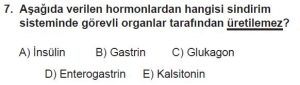 11. Sınıf Biyoloji Test 16 Soru-7