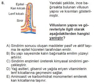 11. Sınıf Biyoloji Test 16 Soru-8