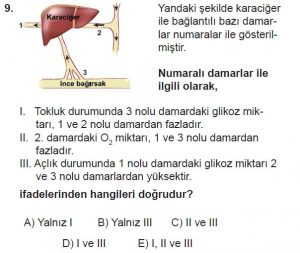 11. Sınıf Biyoloji Test 16 Soru-9