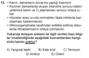 11. Sınıf Biyoloji Test 17 Soru-10
