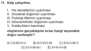 11. Sınıf Biyoloji Test 17 Soru-11