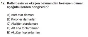 11. Sınıf Biyoloji Test 17 Soru-12
