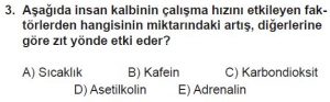 11. Sınıf Biyoloji Test 17 Soru-3