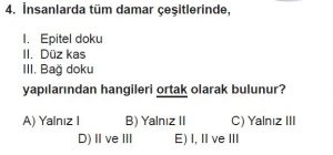 11. Sınıf Biyoloji Test 17 Soru-4