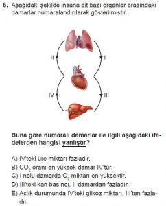 11. Sınıf Biyoloji Test 17 Soru-6