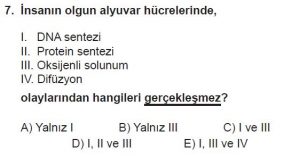 11. Sınıf Biyoloji Test 17 Soru-7