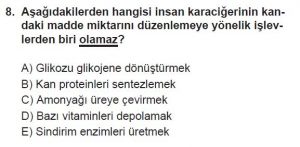 11. Sınıf Biyoloji Test 17 Soru-8