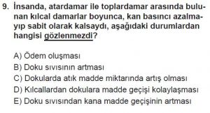 11. Sınıf Biyoloji Test 17 Soru-9