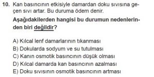 11. Sınıf Biyoloji Test 18 Soru-10