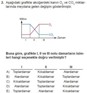 11. Sınıf Biyoloji Test 18 Soru-2
