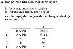 11. Sınıf Biyoloji Test 18 Soru-4