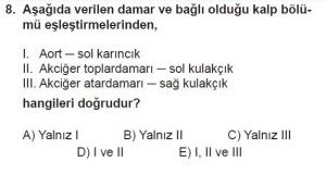 11. Sınıf Biyoloji Test 18 Soru-8