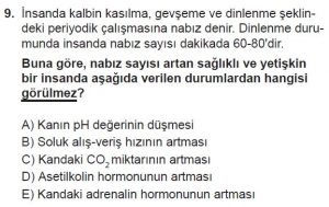 11. Sınıf Biyoloji Test 18 Soru-9