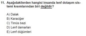 11. Sınıf Biyoloji Test 19 Soru-11