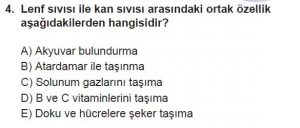 11. Sınıf Biyoloji Test 19 Soru-4