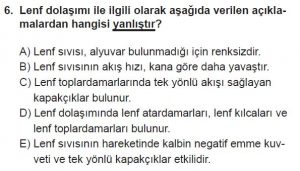 11. Sınıf Biyoloji Test 19 Soru-6