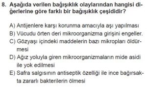 11. Sınıf Biyoloji Test 19 Soru-8