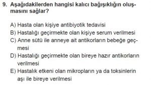 11. Sınıf Biyoloji Test 19 Soru-9