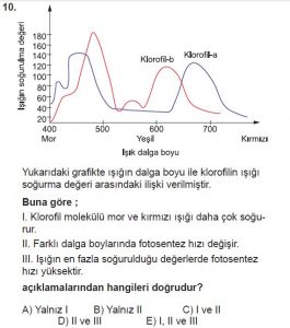 11. Sınıf Biyoloji Test 2 Soru-10