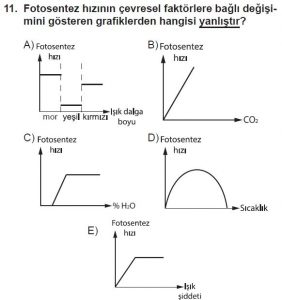 11. Sınıf Biyoloji Test 2 Soru-11