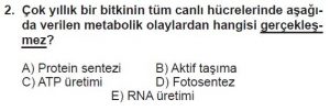 11. Sınıf Biyoloji Test 2 Soru-2